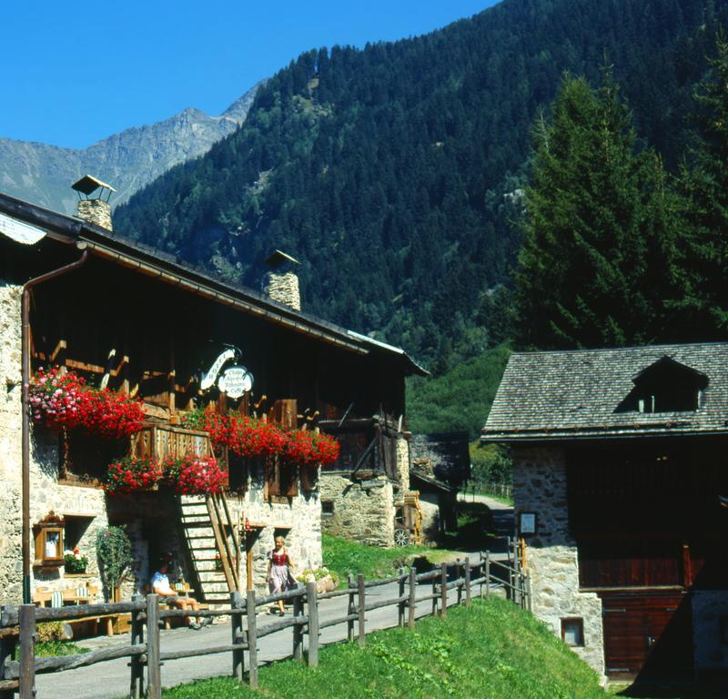 Chalet Alpenrose Bio Wellness Naturhotel Cogolo Esterno foto