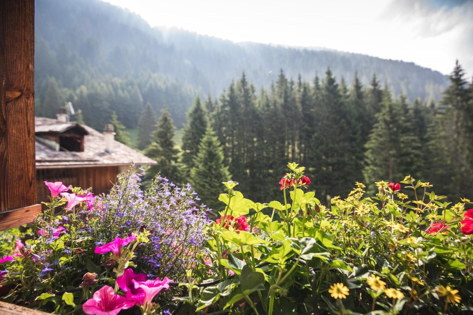 Chalet Alpenrose Bio Wellness Naturhotel Cogolo Esterno foto